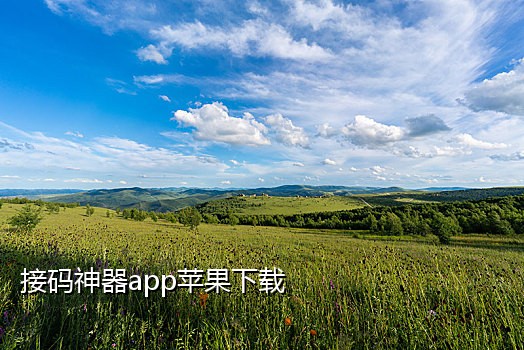 抖音接码犯法吗