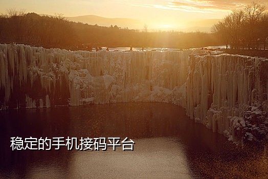 叮咚接码手机版