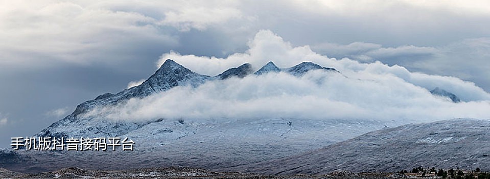 登录闲鱼接码平台