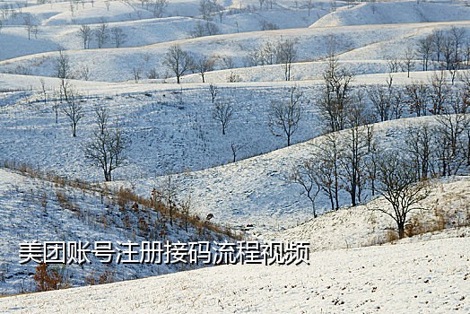 彩虹手机短信接码平台