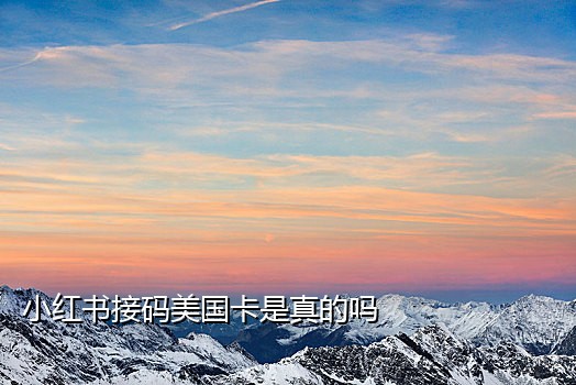 北美手机接码软件下载安装