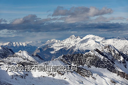 爱信接码客户端手机版