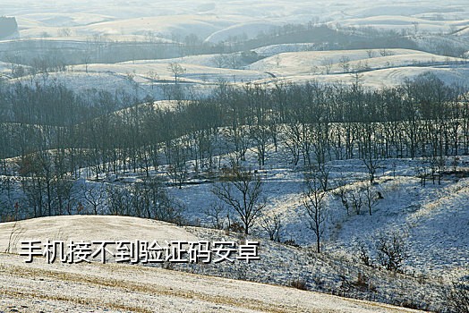 telegram接不到验证码