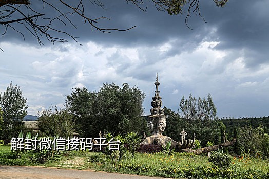 ebay接码什么项目