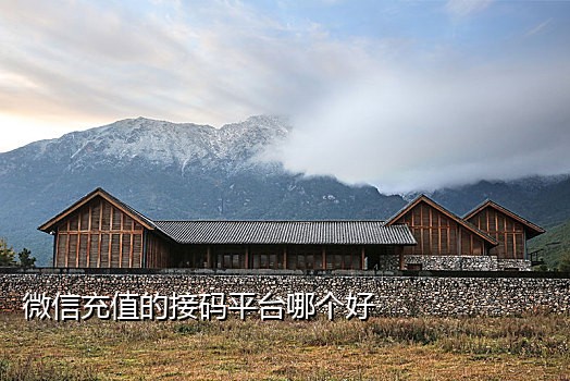 58同城接码平台有哪些