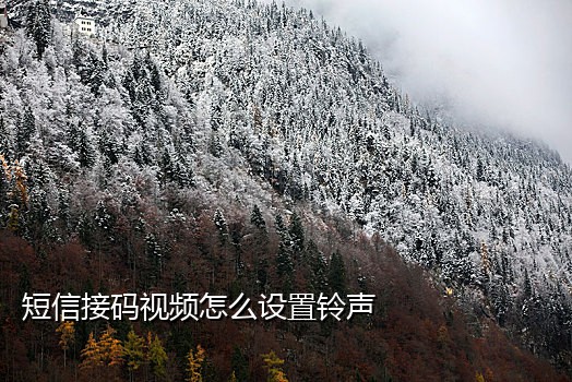 58同城接不到验证码