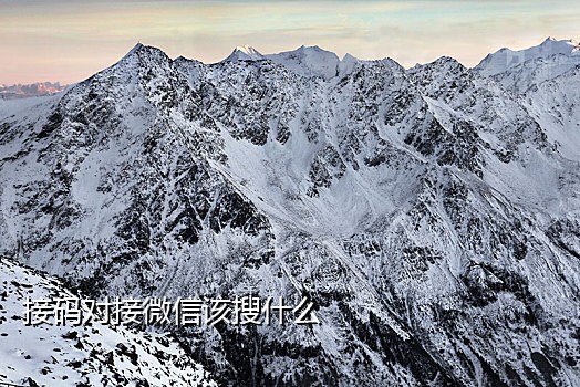 2019最新手机接码APP