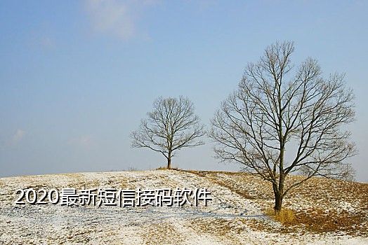 一毛一条接码短信平台