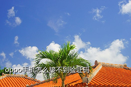 野码手机接码软件