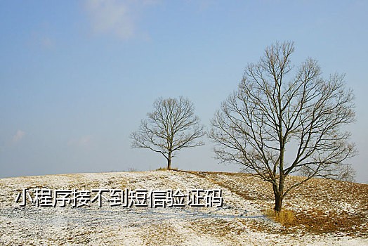 支付宝接码技术