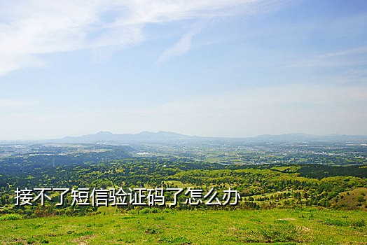 支付宝短信验证码接不到