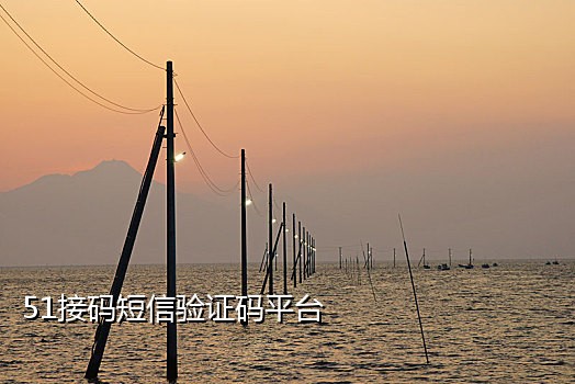 验证码接不到短信怎么办