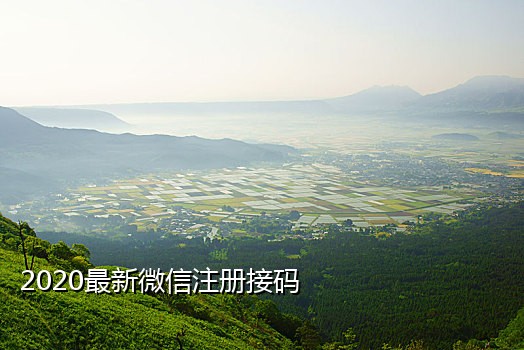 怎么接验证码注册qq