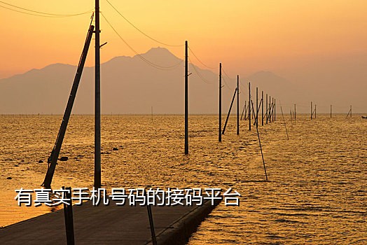 验证码短信接码平台有哪些