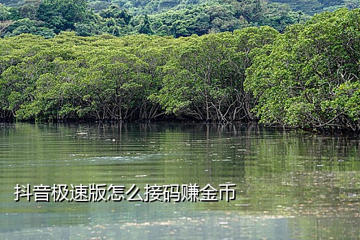 烟台抖音接验证码