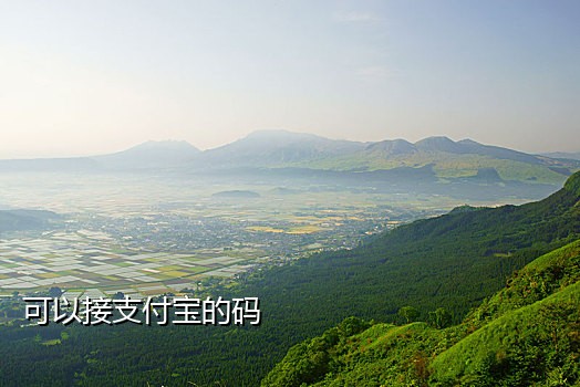 在线手机接码网页