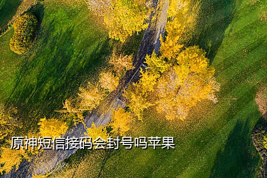 语音短信免费接码