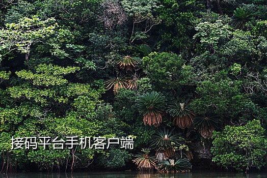 印度手机号接码