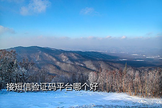 已注册淘宝号 接码平台