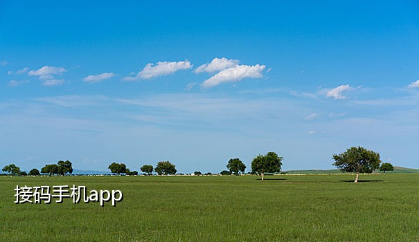 需要接码的qq号