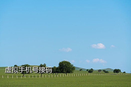 信盒接码官网可以发短信吗