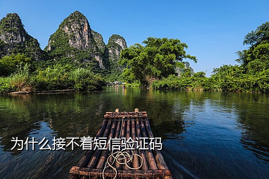 虚拟手机号邮箱接码