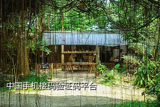 新蓝鸟接码短信平台