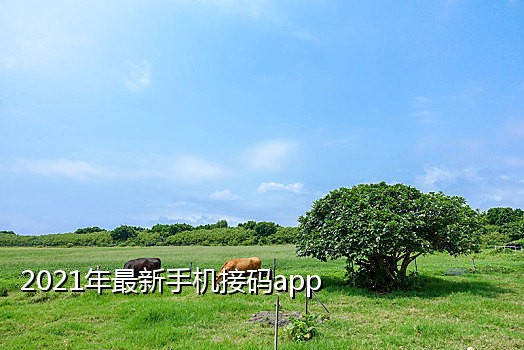 小红书接码号商