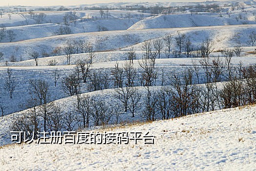 小号手机接验证码
