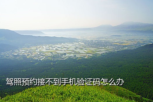 为什么我接不到短信验证码