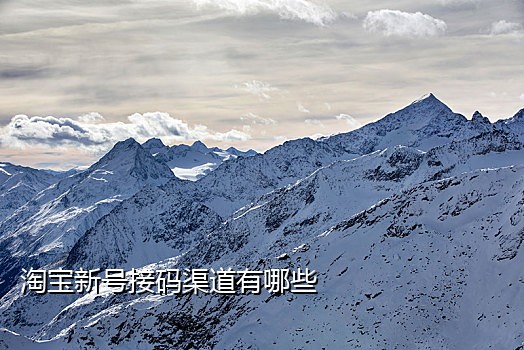 为什么接短信验证码那么慢
