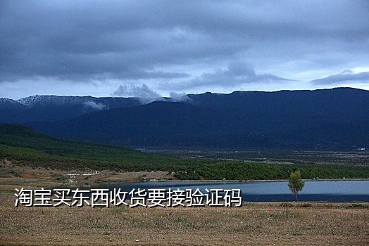 微信支持接码平台