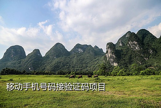 微信接码风险