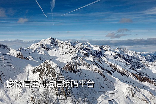 虚假短信接码软件推荐下载