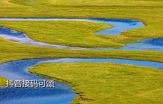 网页版手机接码