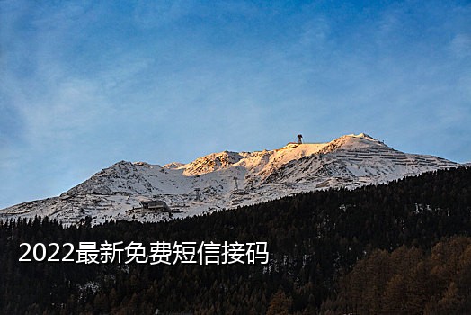 同一个手机号多次接码