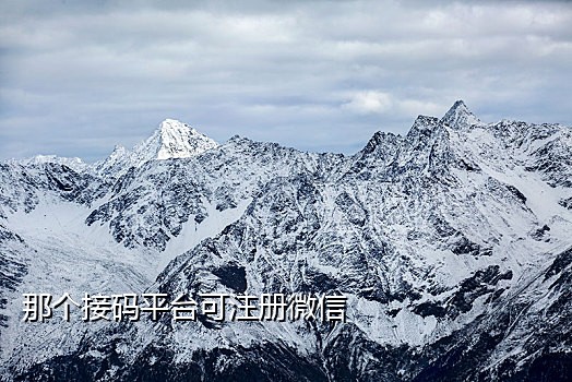 信盒接码app苹果