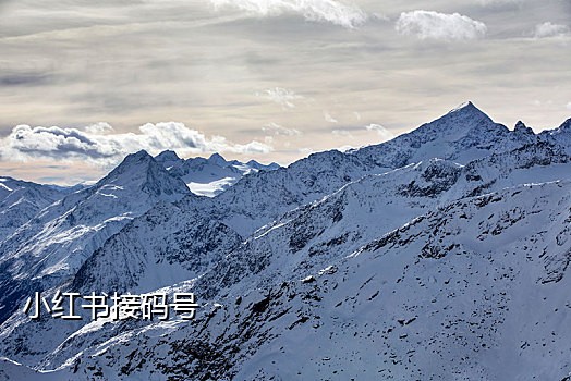 探探接码如何注销