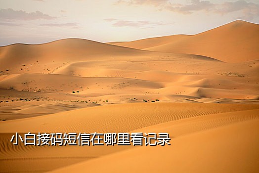 他信接码短信验证码平台app