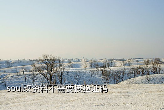 手机无信号能用网络接码