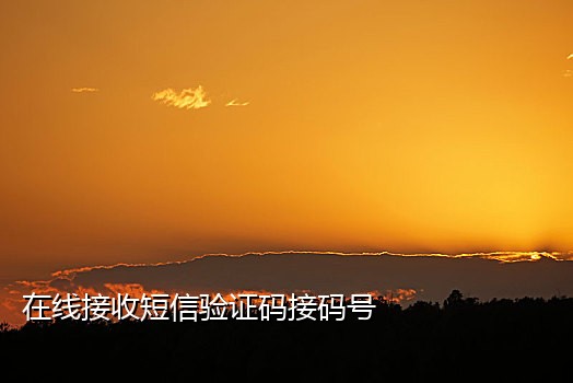 手机无限接验证码