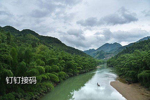 新蓝鸟接码平台手机端