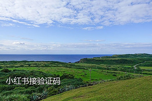 手机接注册码
