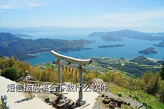 手机接验证码的平台