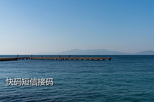 手机接码薅羊毛
