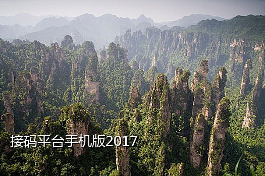 手机接不到云闪付验证码