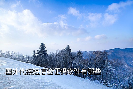 手机接不到驾校验证码