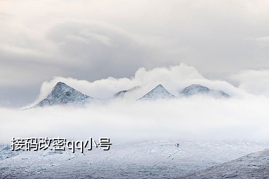 手机号码被接码