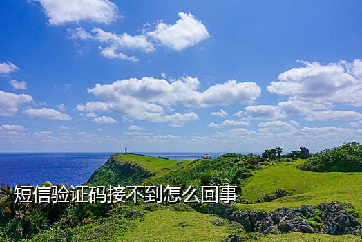 收发短信的接码平台