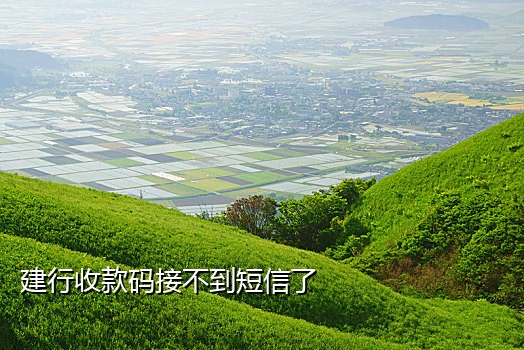 三星s21u手机接不到配对码